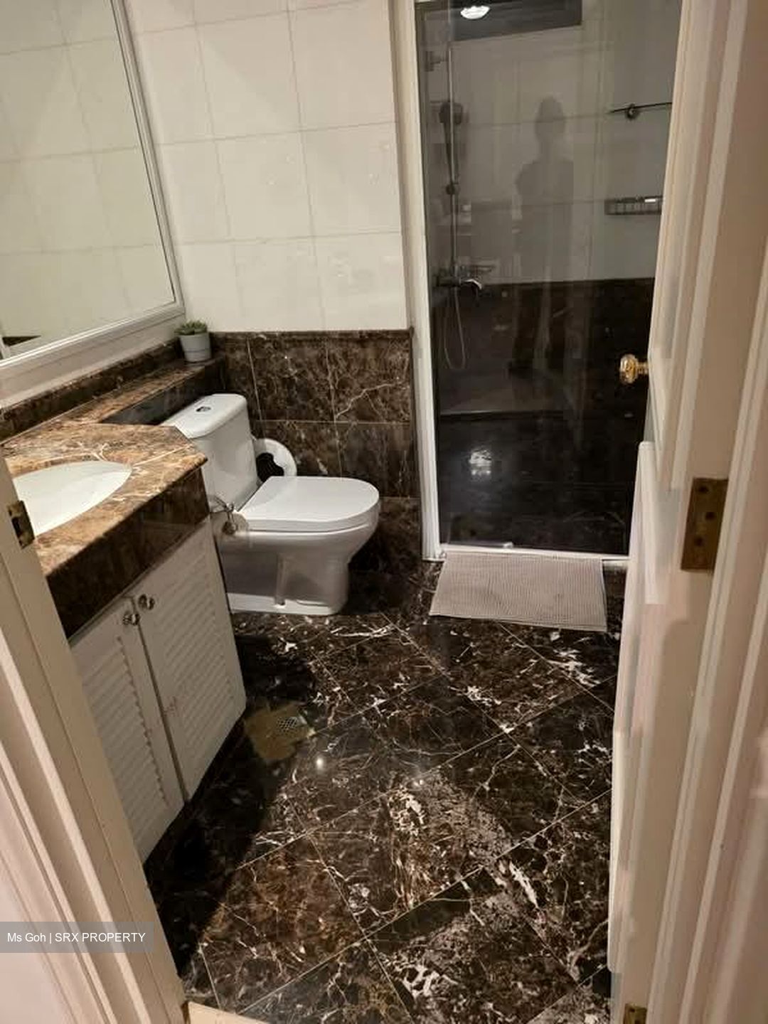 Fifth Avenue Condominium (D10), Condominium #619487401